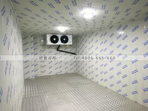 1610423017815816.jpg 682-1FZQ0292G03.jpg