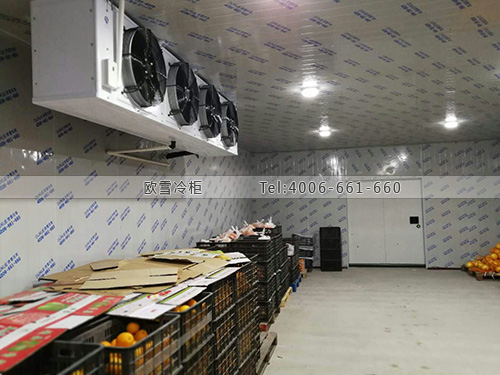 1611389416306705.jpg 682-1P511152101923.jpg