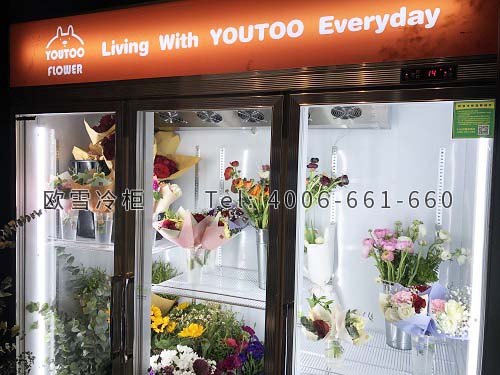 鮮花保鮮柜.jpg 鮮花保鮮柜.jpg