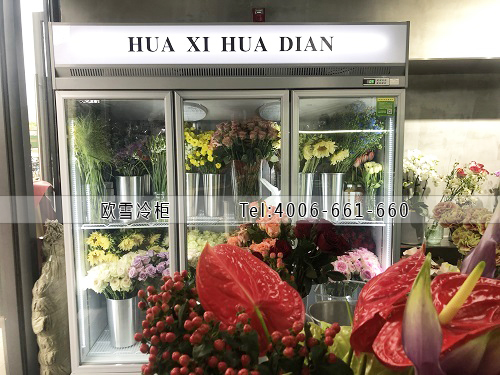 鮮花保鮮冷柜.jpg