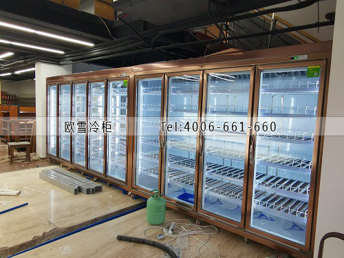 飲料冷藏展示柜.jpg