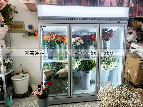 鮮花保鮮柜.jpg