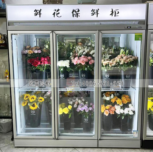 鮮花保鮮柜.jpg