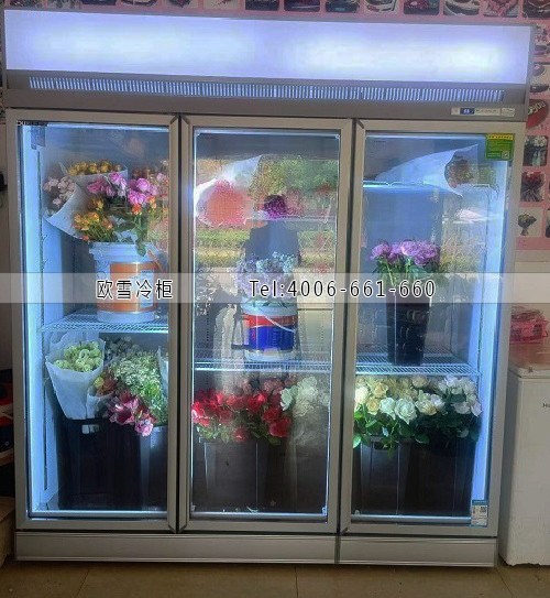 鮮花保鮮柜.jpg