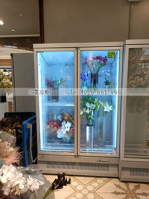 鮮花保鮮柜.jpg