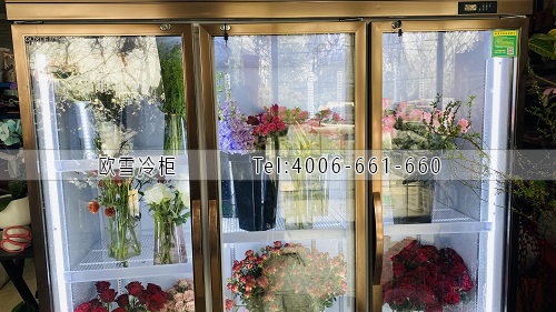 鮮花保鮮柜.jpg 鮮花保鮮柜.jpg