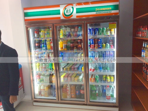 A250湖北省武漢市洪山區(qū)易買de便利店冰柜