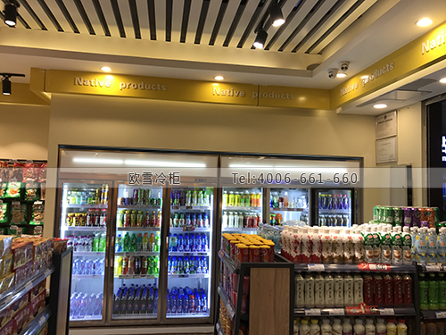 A233四川省成都市成華區(qū)樂(lè)途瑞便利店冷藏柜