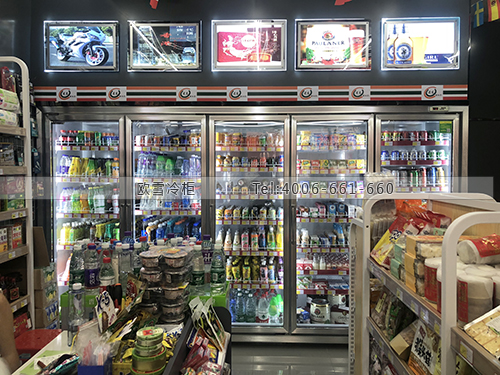 A224廣東省深圳市羅湖區(qū)蓮東超市飲料冷藏柜