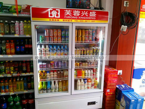 A228江西省南昌市蓮塘鎮(zhèn)芙蓉興盛便利店冷柜