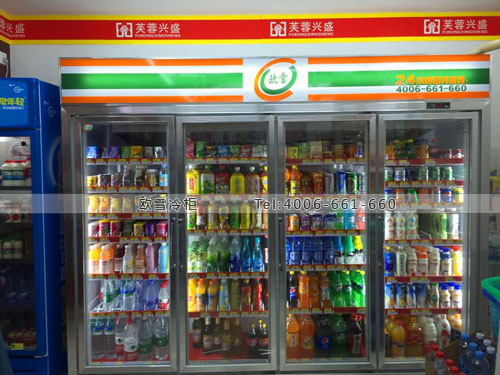 A229江西省南昌市東湖區(qū)芙蓉興盛便利店冷藏展示柜