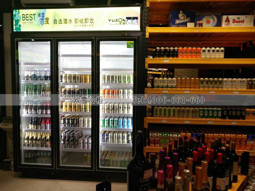 A366廣西省百色市優(yōu)贊酒庫(kù)德國(guó)啤酒店冷藏柜