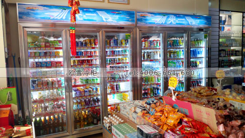 A335廣東省廣州市番禺區(qū)永興百貨連鎖冷藏柜