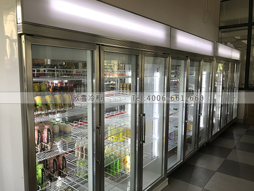 A252上海市金山區(qū)金山中學(xué)上海教育超市冷柜