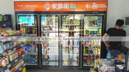 A307福建省廈門市集美區(qū)家掌柜便利店展示柜