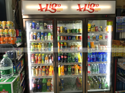 A340湖北省武漢市XLigo便利店冷藏展示柜