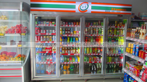 A294廣西省南寧市暖可便利店冷藏展示柜