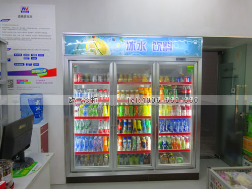 A255重慶市渝中區(qū)微客小店便利店冷藏柜