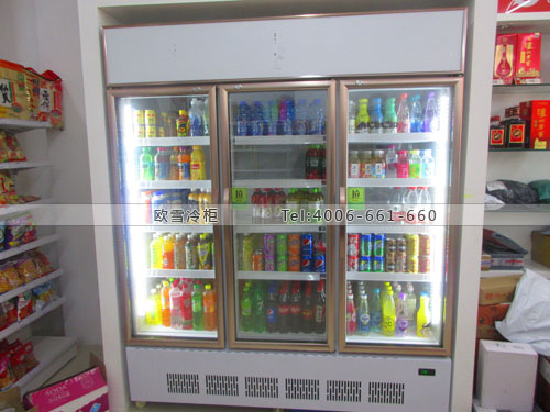 A274四川省成都市郫縣優(yōu)+商城便利店三門冷柜