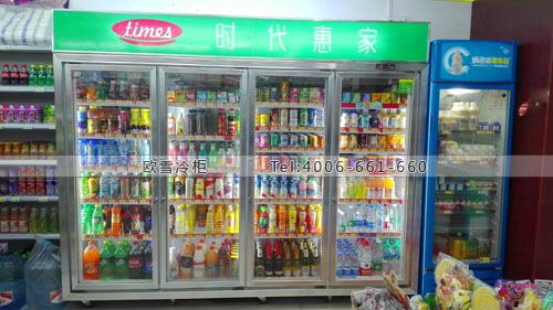 A273江西省南昌市時(shí)代惠家小程便利店冷柜