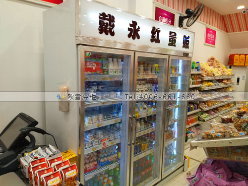 A298湖南省株洲市戴永紅量販零食店冷藏柜