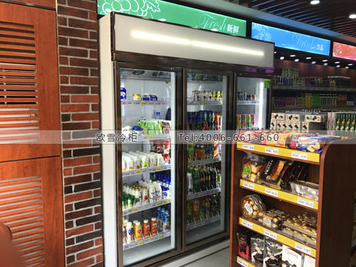A351上海市松江區(qū)大學(xué)城教育超市飲料冷藏柜