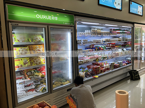 A403江西省撫州市臨川區(qū)D多點便利店冷藏柜