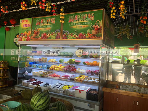 B010江西省吉安市新干縣百鮮匯綠色果蔬連鎖店冷柜