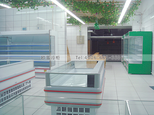 B008肇慶天天農(nóng)展會超市低溫島柜-超市冷凍島柜-速凍食品冷柜