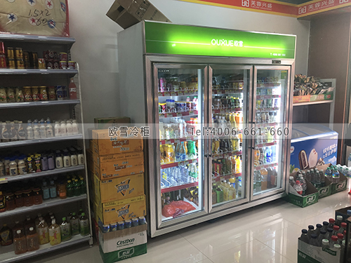 A390江西省南昌市新建區(qū)芙蓉興盛便利店飲料柜