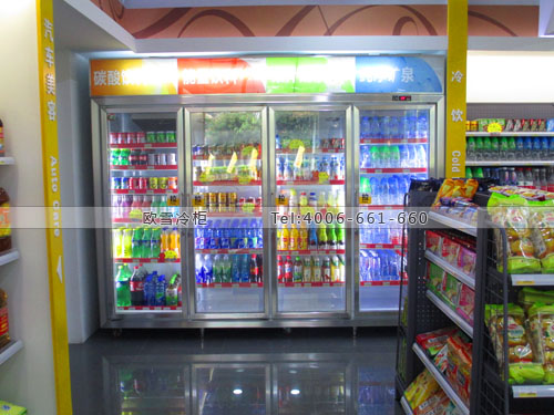 A384廣東省東莞市黃江鎮(zhèn)冠德石加油站便利店冷柜