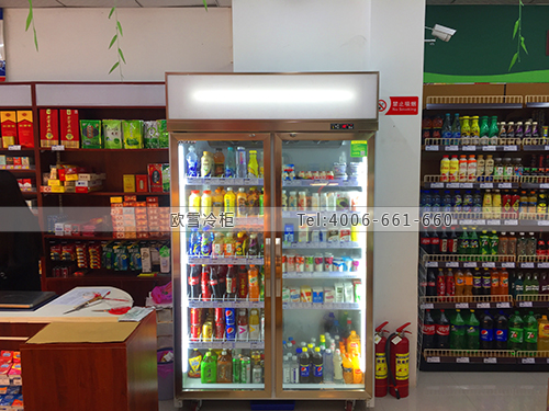 A407重慶市沙坪壩區(qū)米良送便利店飲料冷柜