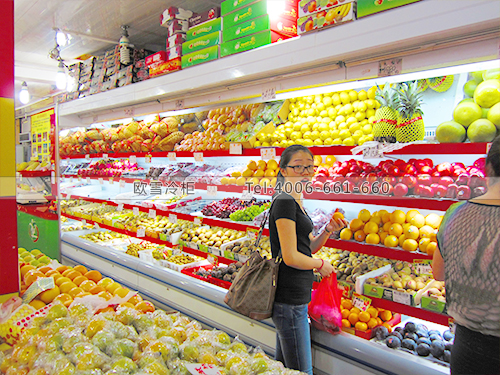 B109上海奉賢農(nóng)夫果園水果保鮮柜-水果冷柜冰柜