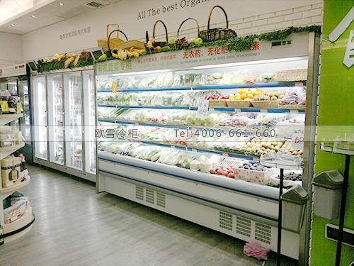 B044深圳福田東海城市廣場御品堂超市冷凍展示柜