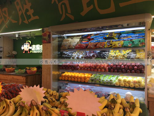 B050廣東省廣州市天河區(qū)富果佳水果冷藏柜