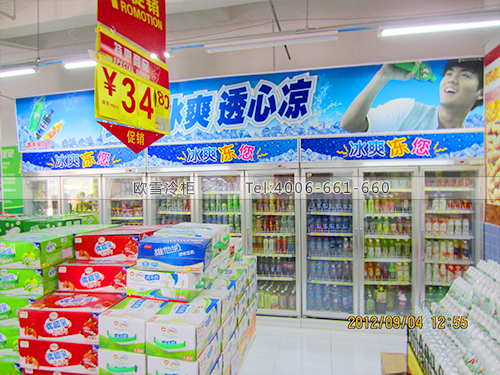 B071惠州鑫福來百貨展示冰柜冷柜