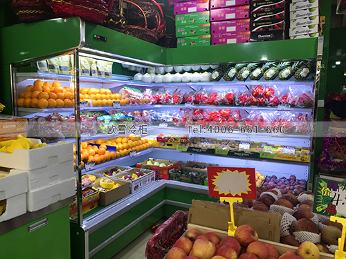 B113上海市松江區(qū)精品水果超市冷藏展示柜