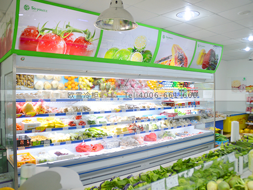 B166浙江寧波SO-YOU蔬友蔬菜水果保鮮冷藏展示柜