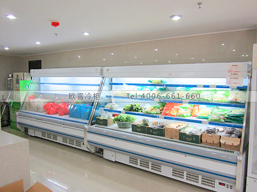 B158江蘇南京玄武新果園生態(tài)農(nóng)業(yè)蔬菜水果冷藏保鮮柜