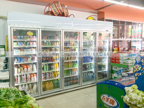 B139廣東省惠州市博羅潤盛生活超市冷藏展示柜