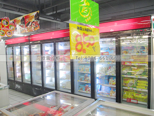 B143廣州新薈萃購物廣場超市冰柜冷凍展示柜
