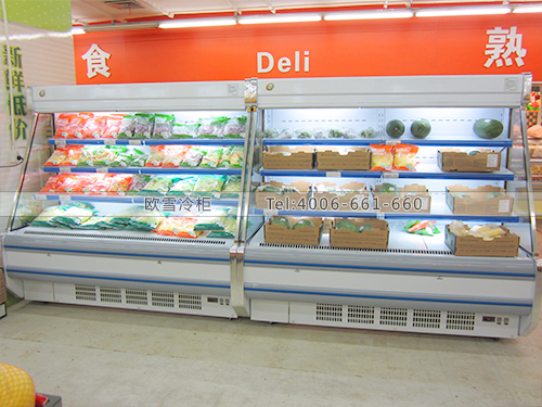 B148上海盧灣農(nóng)工商超市水果蔬菜冷藏保鮮柜