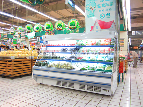 B0147上海普陀農(nóng)工商超市蔬菜冷藏保鮮展示柜