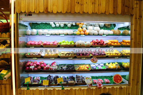 B390廣東省深圳市龍華新區(qū)人人e果水果冷藏展示柜
