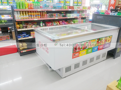 B227深圳龍華新區(qū)百家連鎖超市冷柜