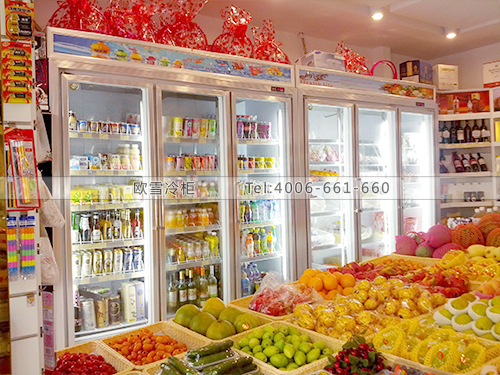 B191湖南長沙四季進口食品保鮮冷藏柜