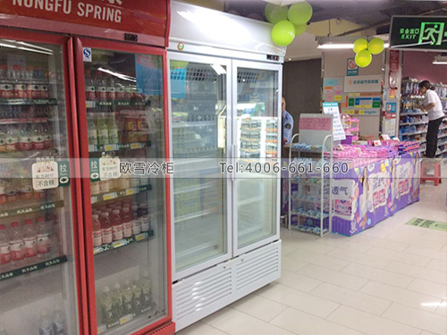 B340湖北武漢武商量販超市冷柜