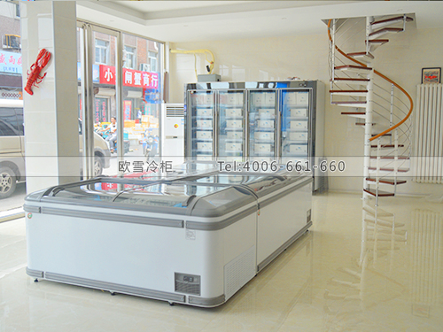 B419北京豐臺(tái)魚你相見超市海鮮冷凍柜