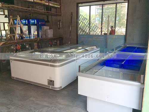 B313湖北武漢淘客海鮮低溫冷凍展示柜