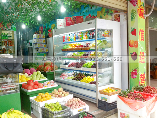 B215湖南株洲亮亮水果超市冷藏保鮮柜
